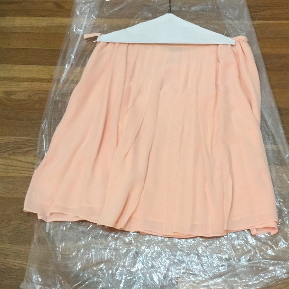 Silk Skirt - Picture 3 of 6